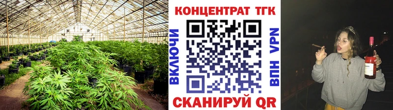 ТГК гашишное масло  Бакал 
